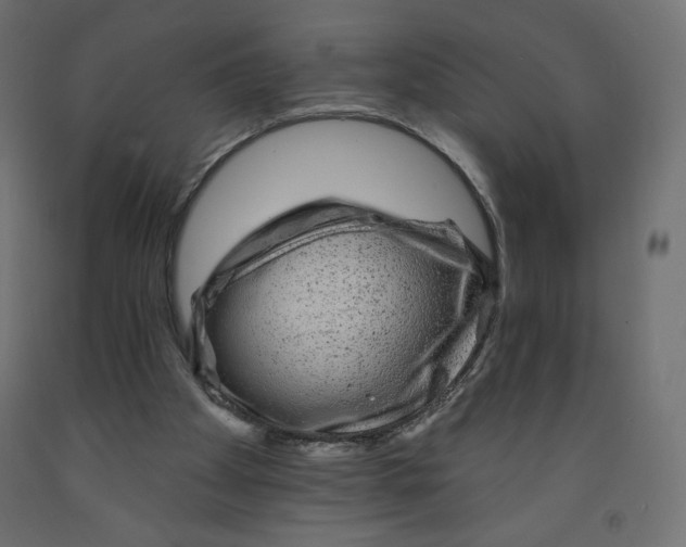 X0000091950105200710041016