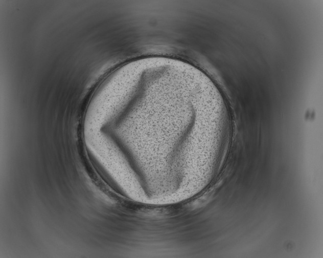 X0000091950106200710041016