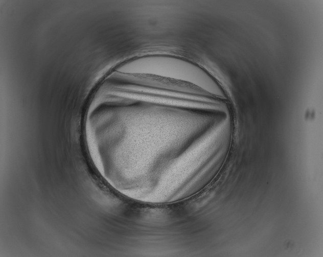 X0000091950107200710041016