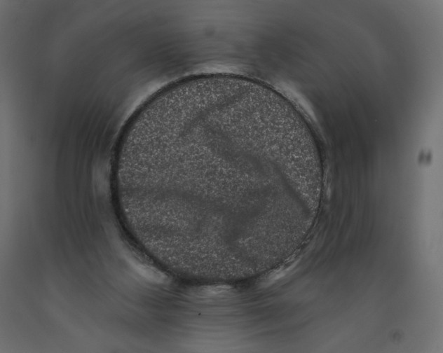 X0000091950108200710041016