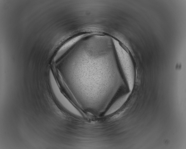 X0000091950109200710041016