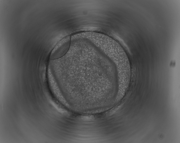X0000091950110200710041016
