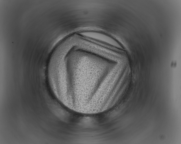 X0000091950111200710041016