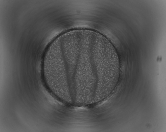 X0000091950112200710041016