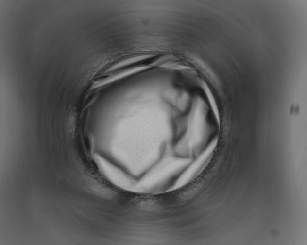 X0000091950113200710041016