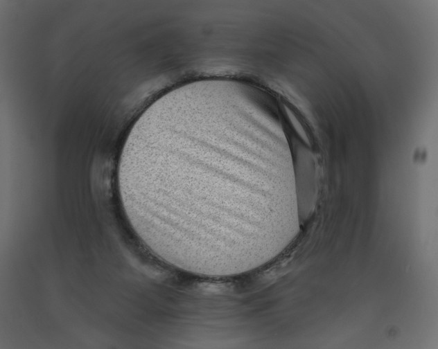 X0000091950115200710041016