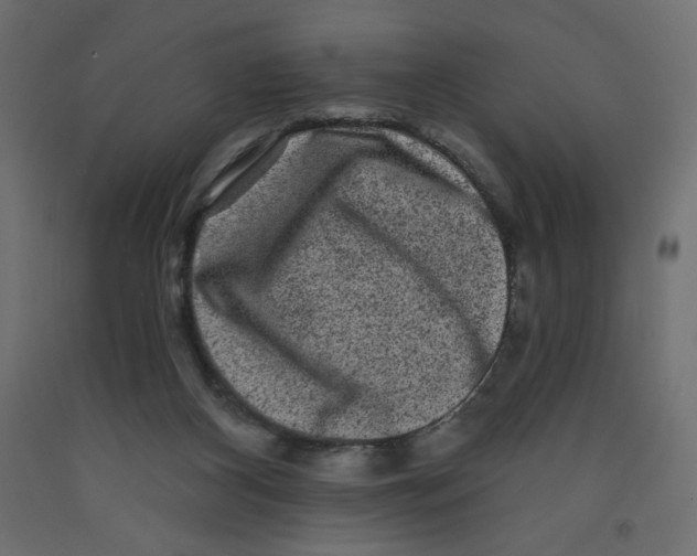 X0000091950116200710041016