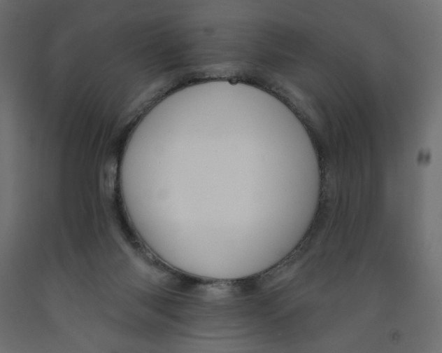 X0000091950118200710041016