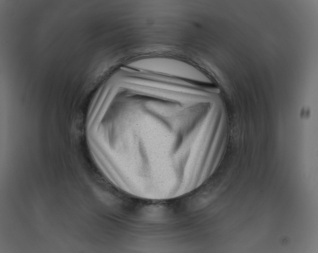 X0000091950119200710041016
