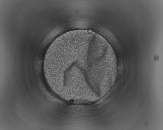X0000091950120200710041016