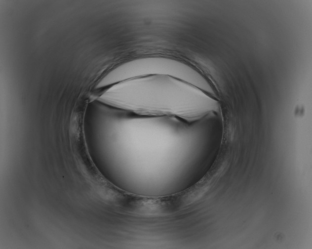 X0000091950121200710041016