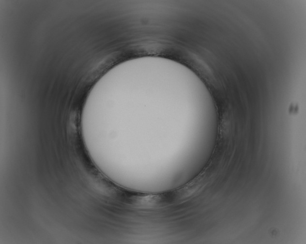X0000091950122200710041016