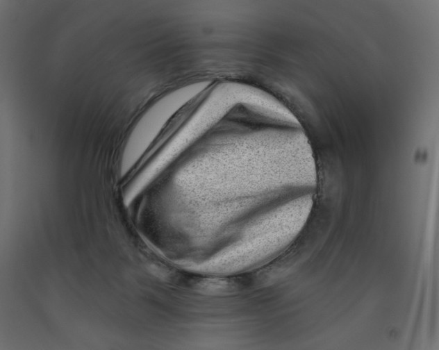 X0000091950123200710041016
