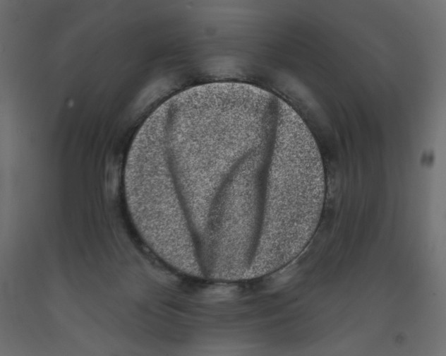 X0000091950124200710041016