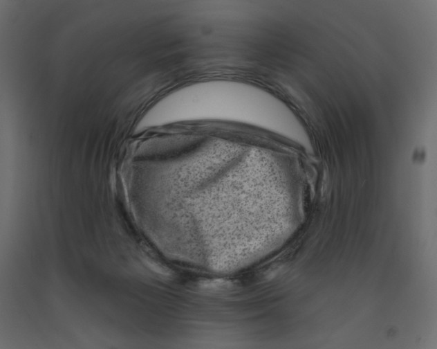 X0000091950125200710041016