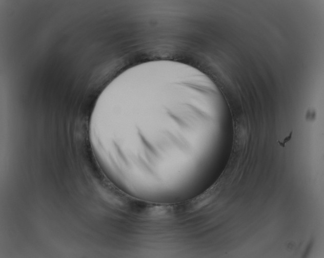 X0000091950126200710041016