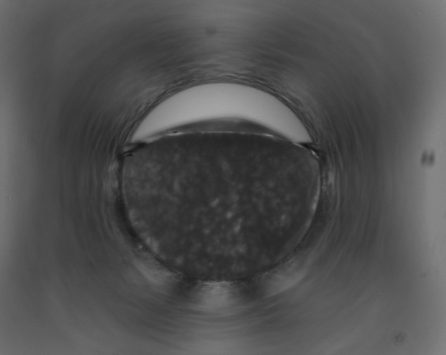 X0000091950127200710041016