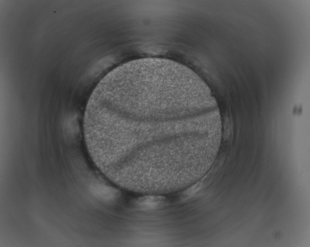 X0000091950128200710041016