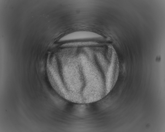 X0000091950131200710041015