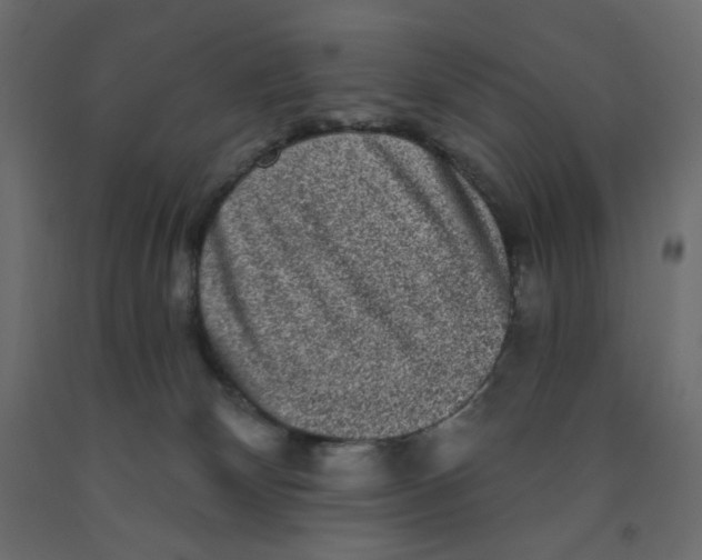 X0000091950132200710041015