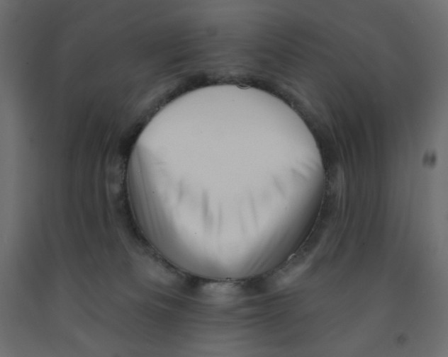 X0000091950133200710041015