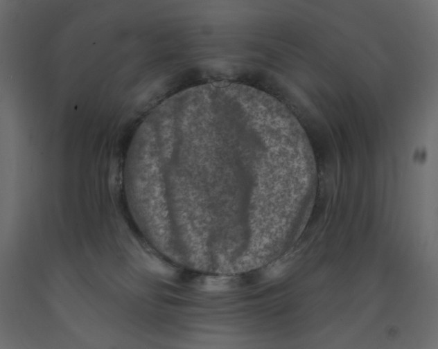 X0000091950134200710041015