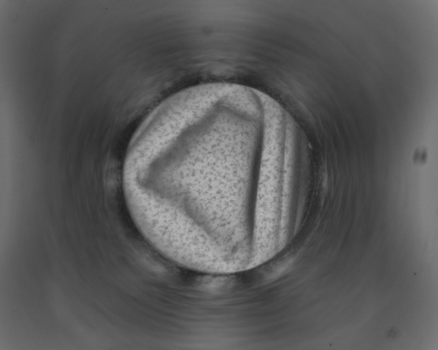 X0000091950135200710041015
