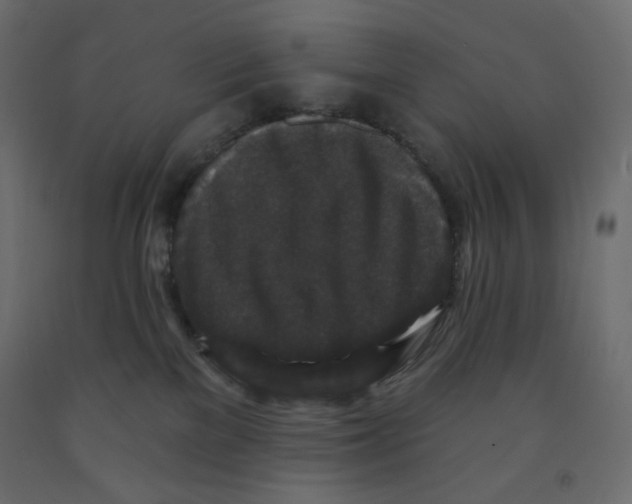 X0000091950137200710041015