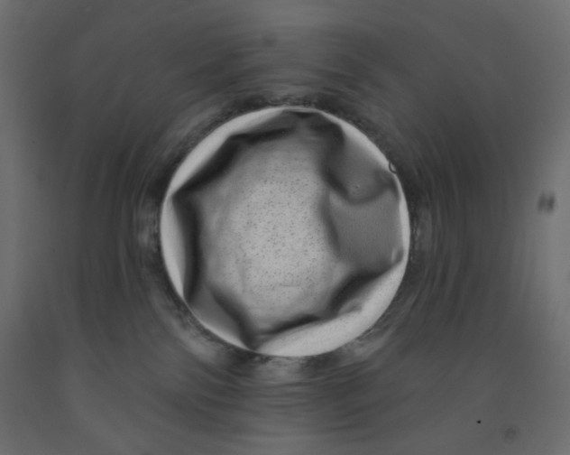 X0000091950138200710041015
