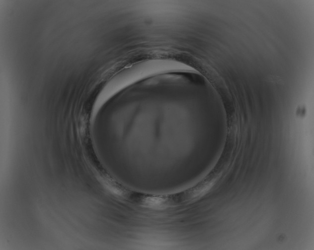 X0000091950139200710041015