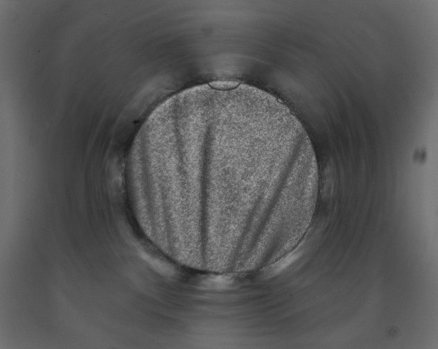 X0000091950140200710041015