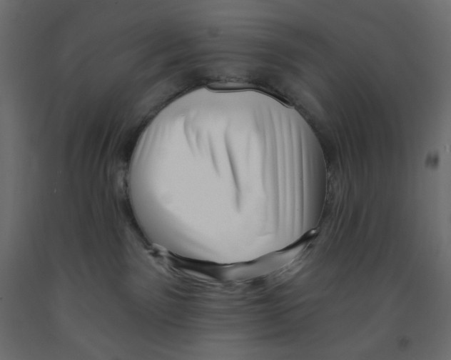 X0000091950141200710041015