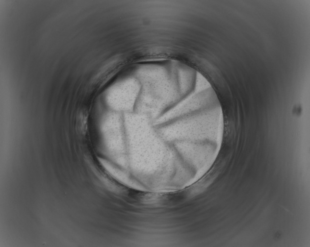 X0000091950142200710041015