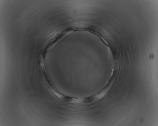 X0000091950143200710041015