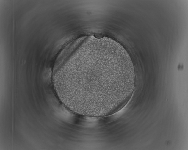 X0000091950144200710041015
