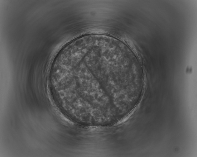 X0000091950145200710041015