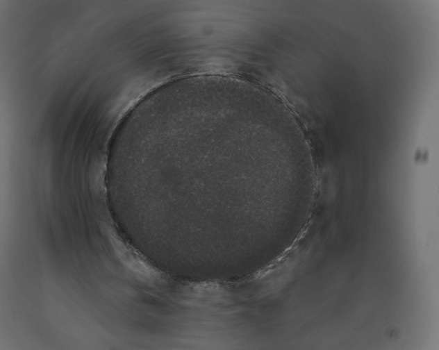 X0000091950146200710041015