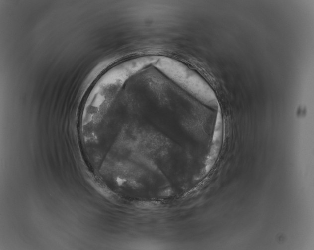X0000091950147200710041015
