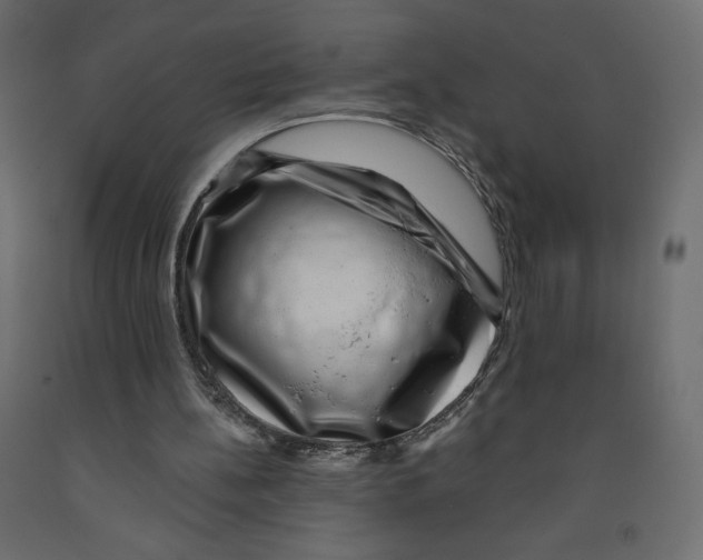 X0000091950148200710041015