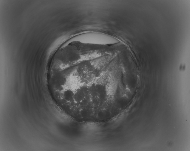 X0000091950149200710041015