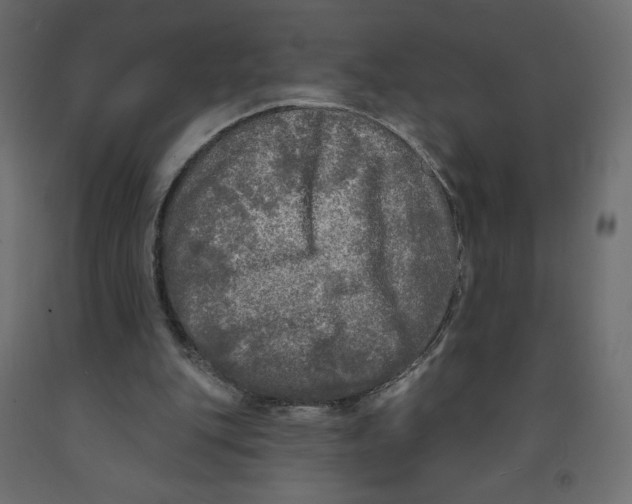X0000091950151200710041015