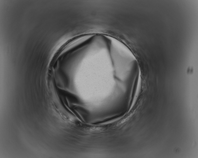 X0000091950152200710041015