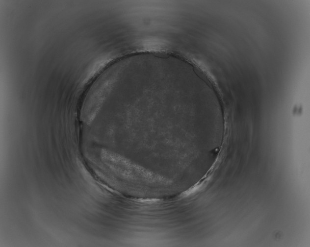 X0000091950154200710041015
