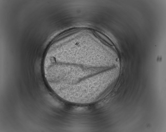 X0000091950155200710041015