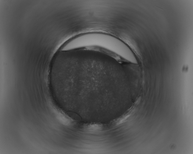 X0000091950156200710041015