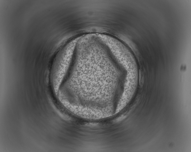 X0000091950157200710041015