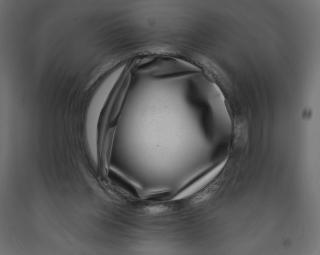 X0000091950158200710041015