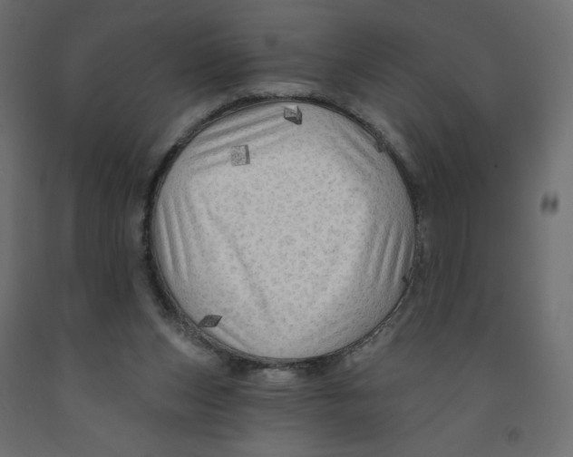 X0000091950159200710041015
