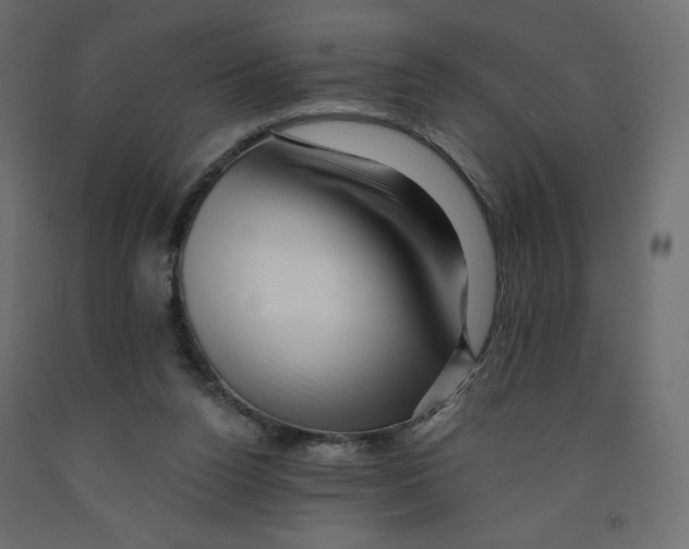 X0000091950160200710041015