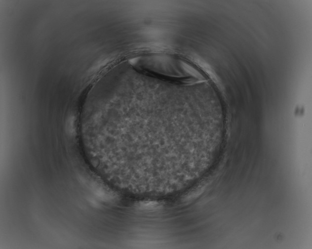 X0000091950161200710041015